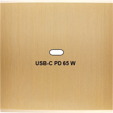 MODELEC - Façade Confidence Laiton Brossé Simple USB Power Delivery magnétique