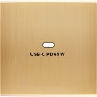 MODELEC - Façade Confidence Laiton Brossé Simple USB Power Delivery magnétique