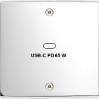 MODELEC - Façade Confidence Laiton Chrome Simple USB Power Delivery à Vis