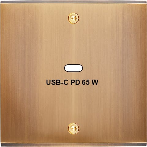 MODELEC - Façade Confidence Laiton Vieux Bronze Simple USB Power Delivery à Vis