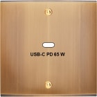 MODELEC - Façade Confidence Laiton Vieux Bronze Simple USB Power Delivery à Vis