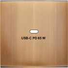 MODELEC - Façade Confidence Laiton Vieux Bronze Simple USB Power Delivery magnétique