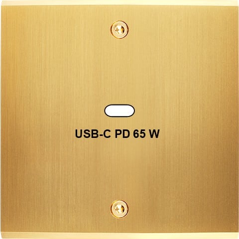 MODELEC - Façade Confidence Laiton Satiné Simple USB Power Delivery à Vis