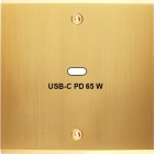 MODELEC - Façade Confidence Laiton Satiné Simple USB Power Delivery à Vis