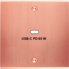 MODELEC - Façade Confidence Laiton Cuivre Satiné Simple USB Power Delivery à Vis