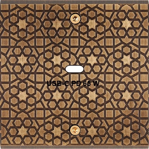 MODELEC - Façade Fascination Laiton Atlas Simple USB Power Delivery à vis