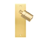 MODELEC - Façade Confidence Laiton Satine Etroite Longue Spot 360°