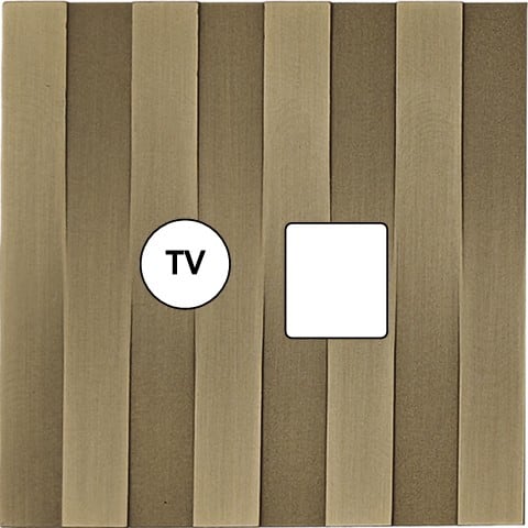 MODELEC - Façade Empreintes LIGNE Laiton Satiné Simple TV + RJ45, magnétique