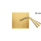 MODELEC - Façade Confidence Laiton Satine Simple Liseuse 20