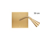 MODELEC - Façade Confidence Laiton Brosse Simple Liseuse 30