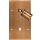 MODELEC - Façade Confidence Laiton Vieux Bronze Double Verticale Spot + B1