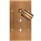 MODELEC - Façade Confidence Laiton Vieux Bronze Double Verticale Spot + B1 B1 Aligne
