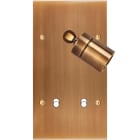 MODELEC - Façade Confidence Laiton Vieux Bronze Double Verticale Spot + B2