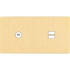 MODELEC - Façade "M" Laiton Brosse Double Horizontale 1 Prise Tv 1 Chargeur USB magnétique