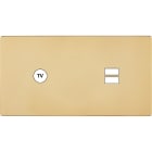 MODELEC - Façade "M" Laiton Verni Double Horizontale 1 Prise Tv 1 Chargeur USB magnétique