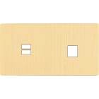 MODELEC - Façade "M" Laiton Brosse Double Horizontale 1 Chargeur USB 1 Media magnétique