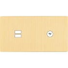 MODELEC - Façade "M" Laiton Brosse Double Horizontale 1 Chargeur USB 1 Prise Tv magnétique