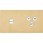 MODELEC - Façade "M" Laiton Verni Double Horizontale 1 Chargeur USB 1 Tv-Fm-Sat magnétique
