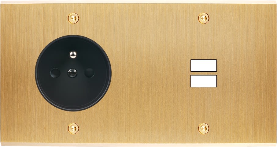 MODELEC - Façade Confidence Laiton Brosse Double Horizontale PC U1 à Vis