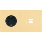 MODELEC - Façade "M" Laiton Brosse Double Horizonta 1 Prise Schuko 1 Chargeur USB magnétiq