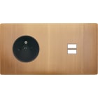MODELEC - Façade "M" Laiton Vieux Bronze Dbl Horizontale 1 Prise 1 Chargeur USB magnétique