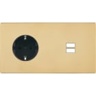 MODELEC - Façade "M" Laiton Verni Double Horizontal 1 Prise Schuko 1 Chargeur USB magnétiq