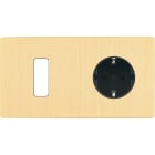 MODELEC - Façade "M" Laiton Brosse Double Horizontale 1 Bouton 1 Prise Schuko magnétique