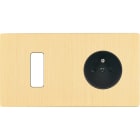 MODELEC - Façade "M" Laiton Brosse Double Horizontale 1 Bouton 1 Prise magnétique