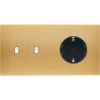 MODELEC - Façade Confidence Laiton Brosse Double Horizontale B2 Pck