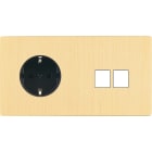 MODELEC - Façade "M" Laiton Brosse Double Horizontale 1 Prise Schuko 2 Media magnétique