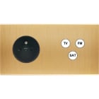 MODELEC - Façade Confidence Laiton Brosse Double Horizontale PC C3