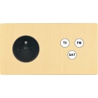 MODELEC - Façade "M" Laiton Brosse Double Horizontale 1 Prise 1 Tv-Fm-Sat magnétique