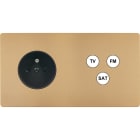 MODELEC - Façade "M" Laiton Sable Double Horizontale 1 Prise 1 Tv-Fm-Sat magnétique