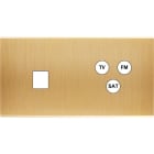 MODELEC - Façade Confidence Laiton Brosse Double Horizontale M1 C3