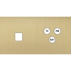 MODELEC - Façade Empreintes PLAN Laiton Satiné Double Horizontale Média Prise TV FM SAT M