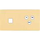 MODELEC - Façade "M" Laiton Brosse Double Horizontale 1 Media 1 Tv-Fm-Sat magnétique