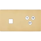 MODELEC - Façade "M" Laiton Miroir Double Horizontale 1 Media 1 Tv-Fm-Sat magnétique