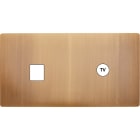 MODELEC - Façade "M" Laiton Vieux Bronze Double Horizontale 1 Media 1 Prise Tv magnétique