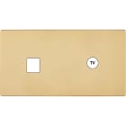 MODELEC - Façade "M" Laiton Miroir Double Horizontale 1 Media 1 Prise Tv magnétique