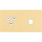 MODELEC - Façade "M" Laiton Brosse Double Horizontale 1 Tv-Fm-Sat 1 Media magnétique