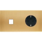 MODELEC - Façade Confidence Laiton Brosse Double Horizontale M1 PCK