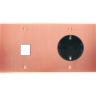 MODELEC - Façade Confidence Laiton Cuivre Satine Double Horizontale M1 PCK à Vis