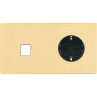 MODELEC - Façade "M" Laiton Brosse Double Horizontale 1 Media 1 Prise Schuko magnétique