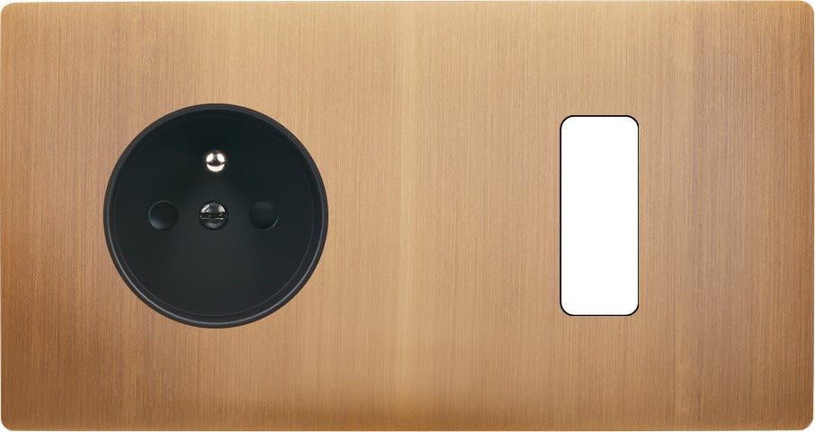 MODELEC - Façade "M" Laiton Vieux Bronze Double Horizontale 1 Prise 1 Bouton magnétique