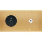 MODELEC - Façade Confidence Laiton Brosse Double Horizontale PC C1 à Vis