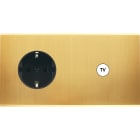 MODELEC - Façade Confidence Laiton Satine Double Horizontale Prise 2P+Tk C1 Magnetique