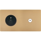 MODELEC - Façade "M" Laiton Sable Double Horizontale 1 Prise 1 Prise Tv magnétique