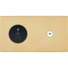 MODELEC - Façade "M" Laiton Verni Double Horizontale 1 Prise 1 Prise Tv magnétique