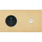 MODELEC - Façade "M" Laiton Miroir Double Horizontale 1 Prise 1 Prise Tv magnétique