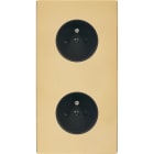 MODELEC - Façade "M" Laiton Verni Double Verticale 1 Prise 1 Prise magnétique